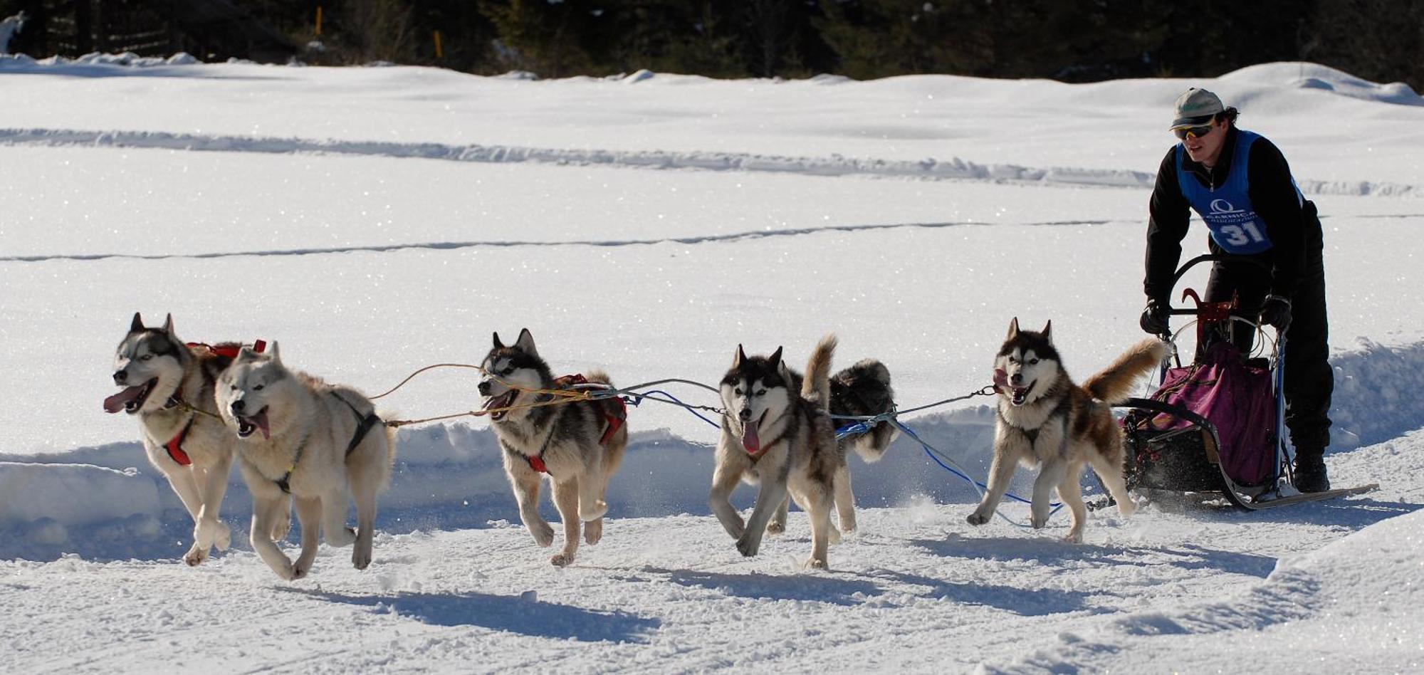 Al Casello Tarvisio Dış mekan fotoğraf