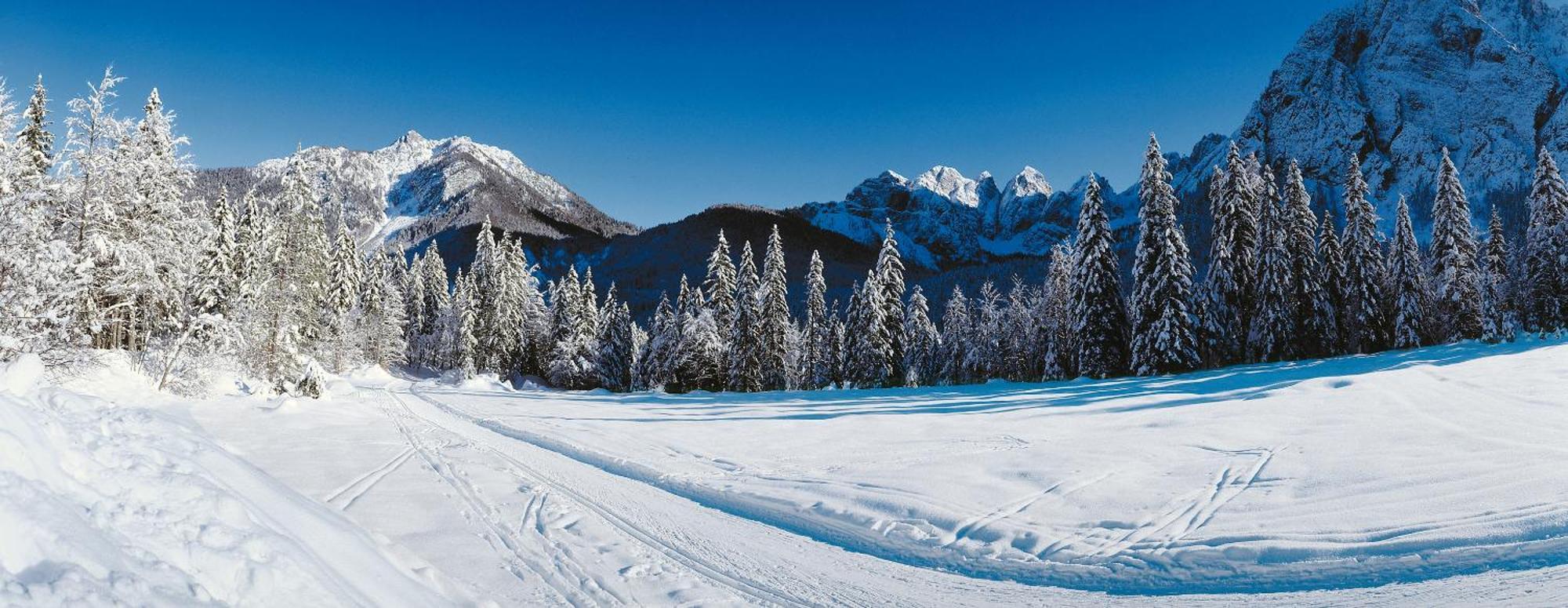 Al Casello Tarvisio Dış mekan fotoğraf