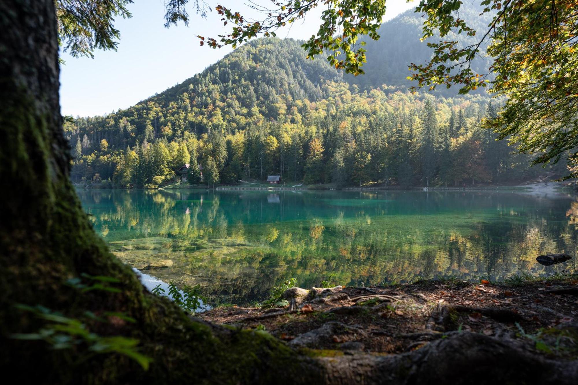 Al Casello Tarvisio Dış mekan fotoğraf